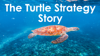 The Turtle Strategy Story (EP1)