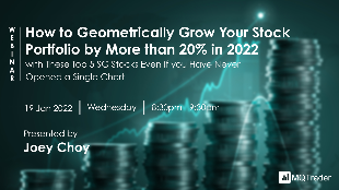 [WEBINAR] How to Geometrically Grow Your Stock Portfolio in 2022, Even If you Have Never Opened a Single Chart