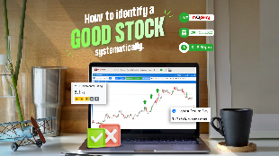 [MQTRADER] How to identify a good stock systematically?